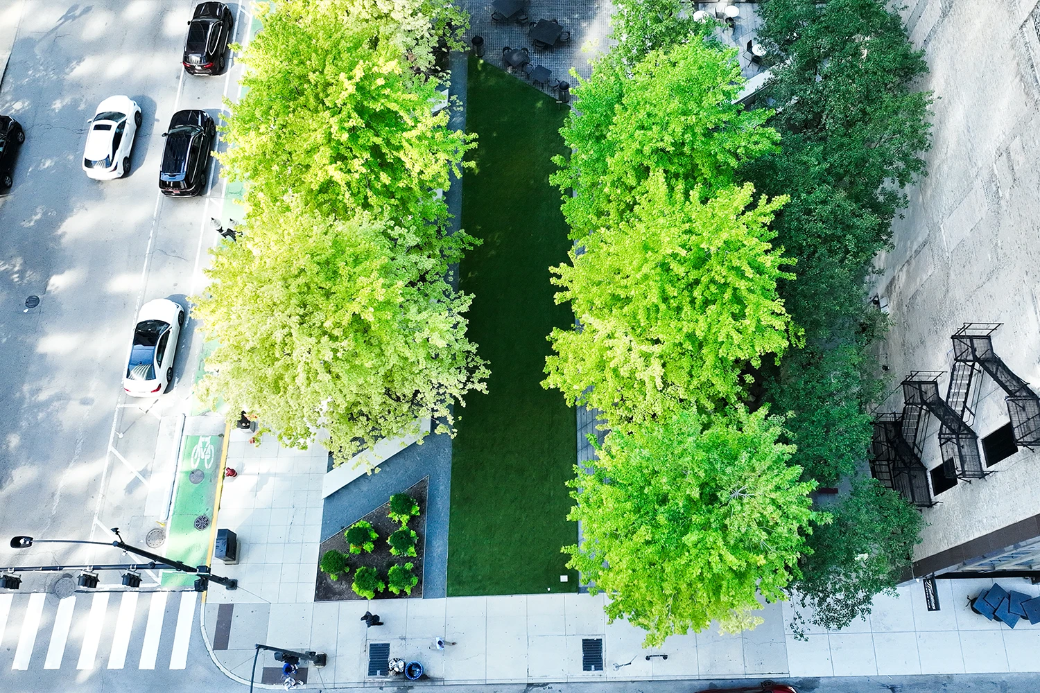 SYNLawn Chicago Synthetic Turf