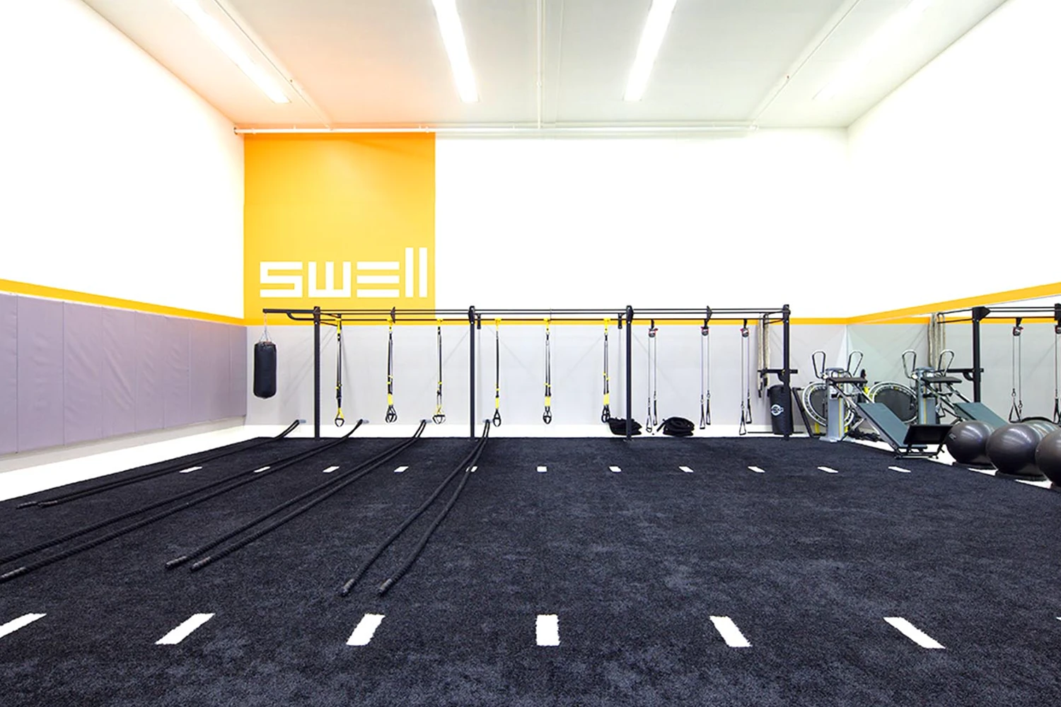 SYNLawn Chicago Gyms and Crossfit