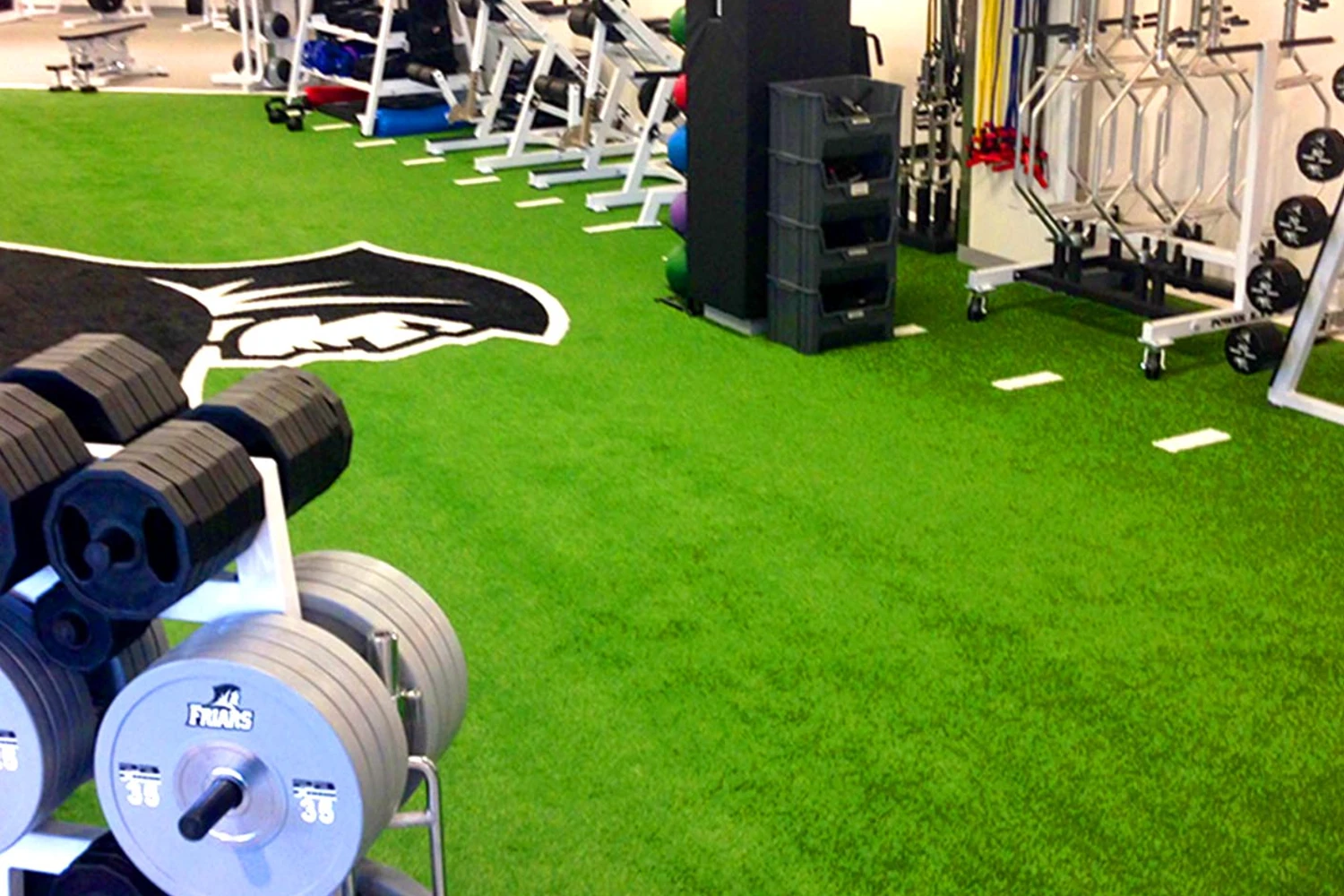 SYNLawn Chicago Gyms and Crossfit
