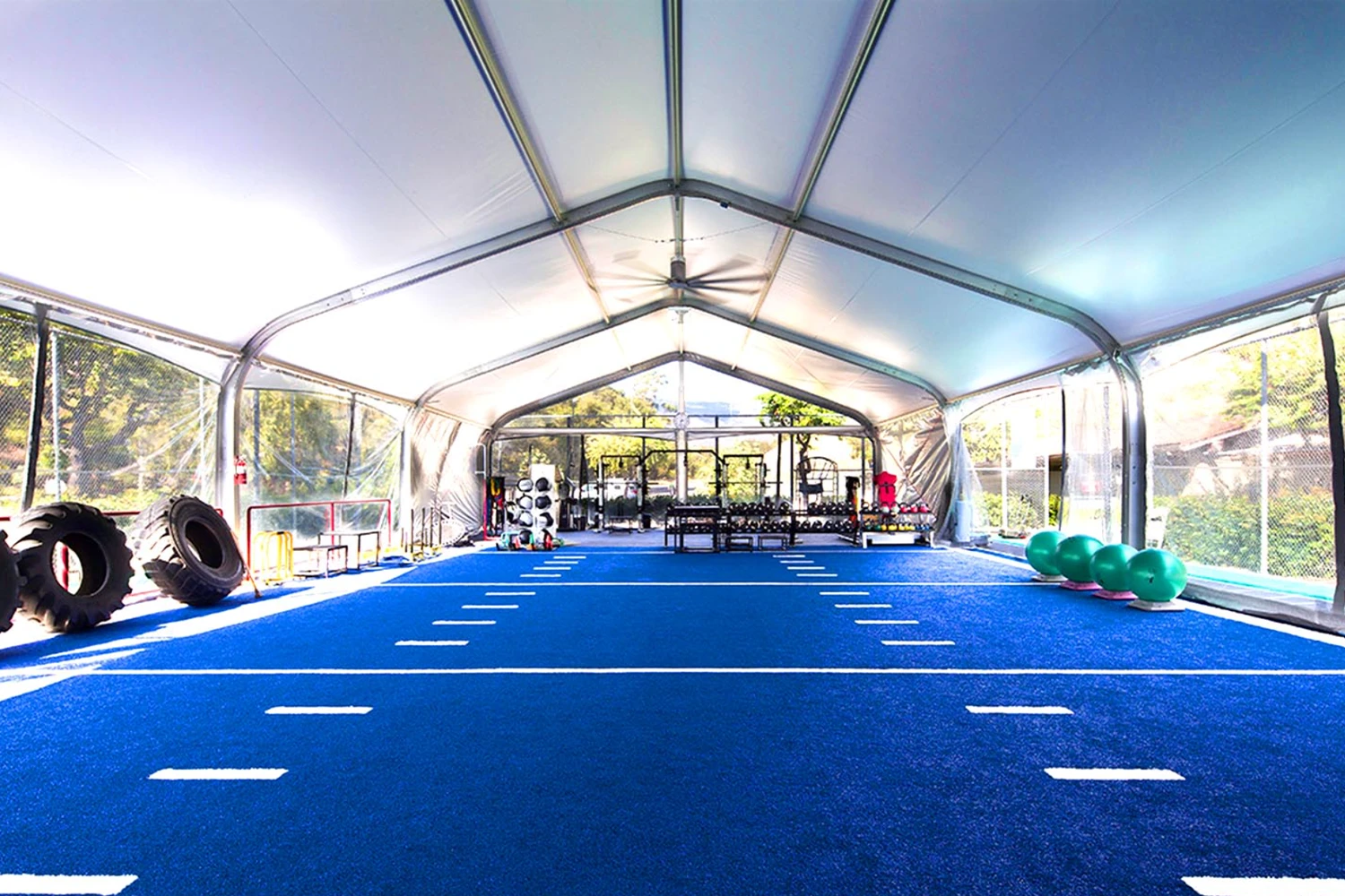 SYNLawn Chicago Gyms and Crossfit