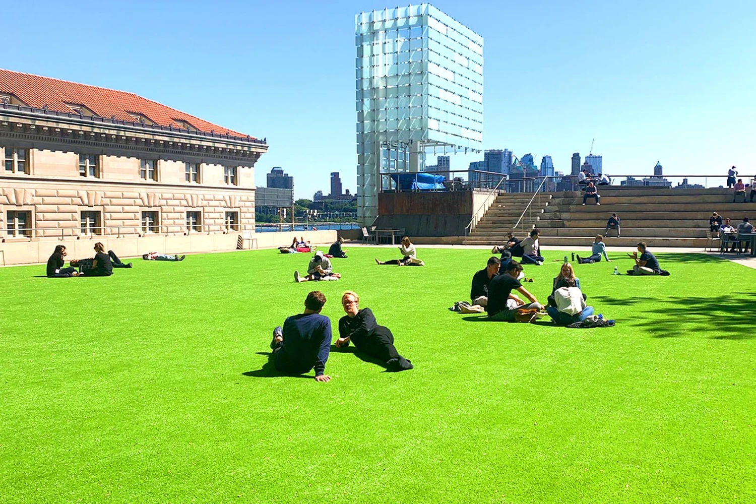SYNLawn Chicago Parks and Recreation