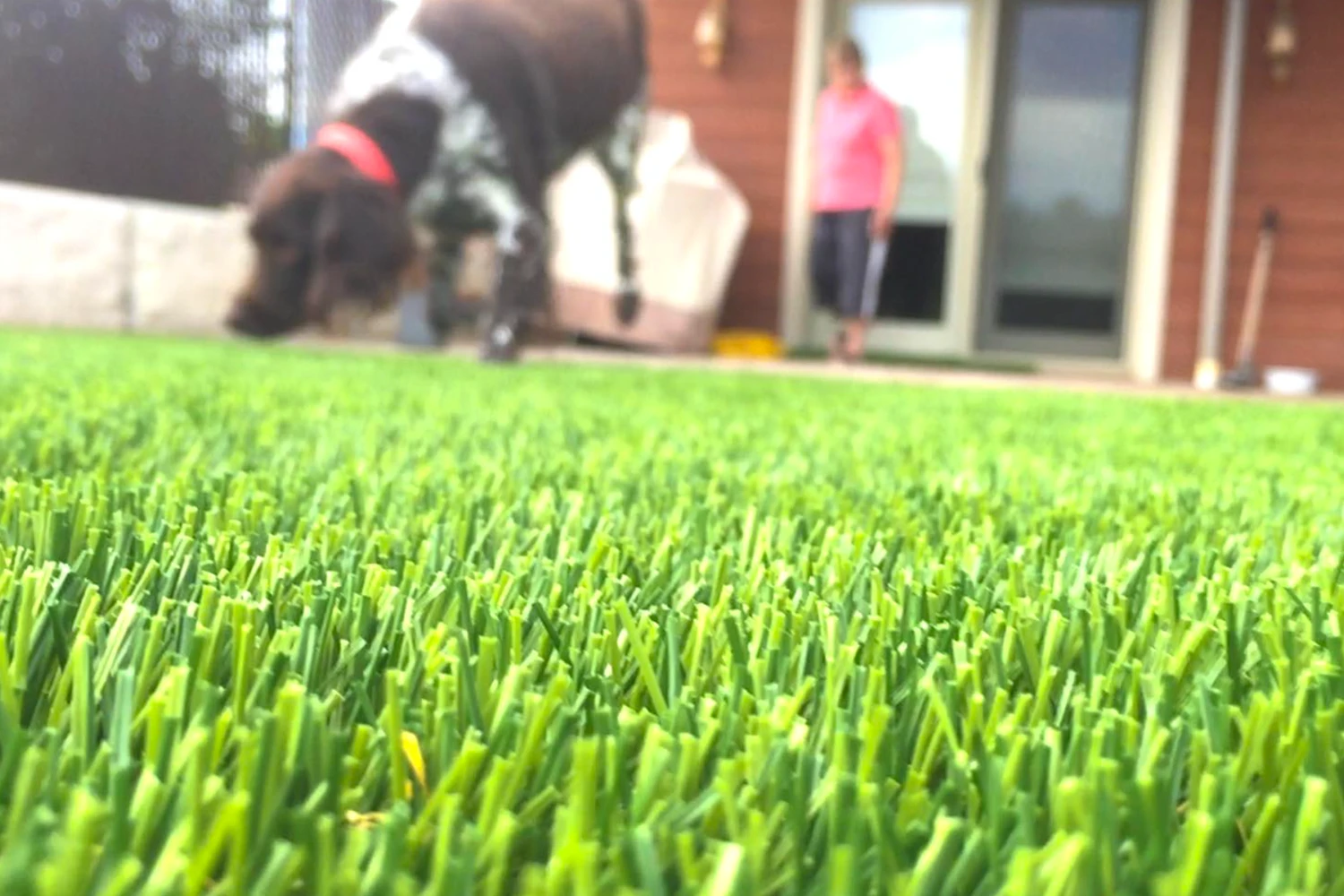 SYNLawn Chicago Pet Installations