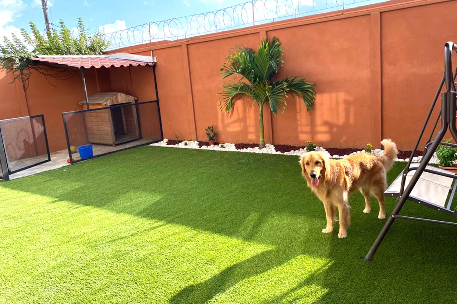 SYNLawn Chicago Pet Installations