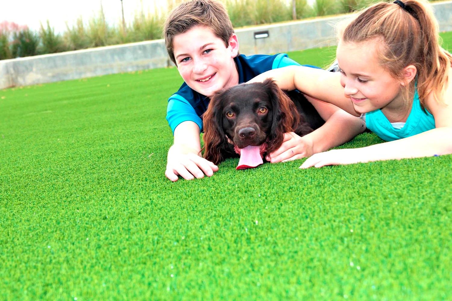 SYNLawn Chicago Pet Installations