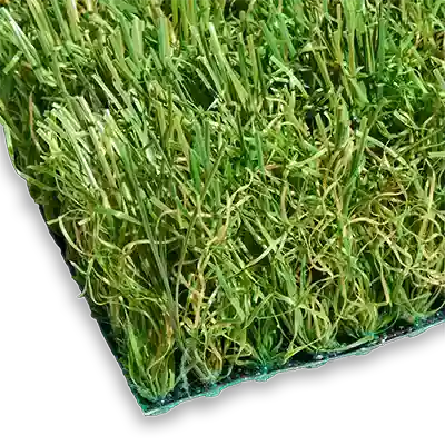 SYNFescue 343